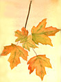 2Oct30