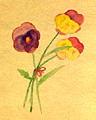 1931-32
