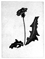 23Jun33