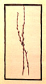 12Apr34