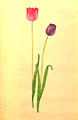 1934