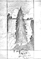 undated