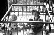 1950