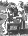 1954