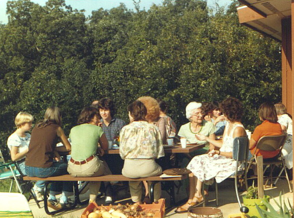 Fall 1981