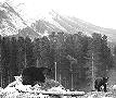 Banff, July 7, 1945