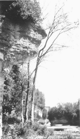 Elora