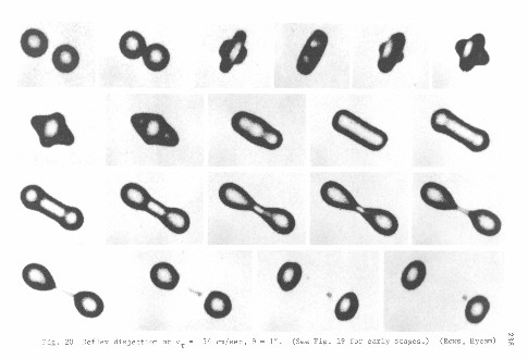 Fig. 20 - reflex disjection