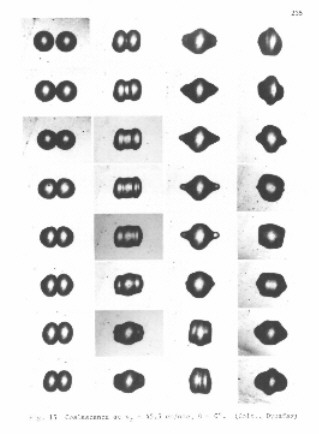 Fig. 15 - coalescence