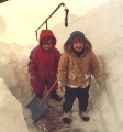 1982