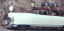 1950