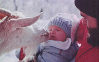 1975
